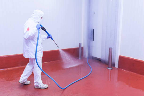 Trusted Northeast Ithaca, NY Pressure Washing Services Experts
